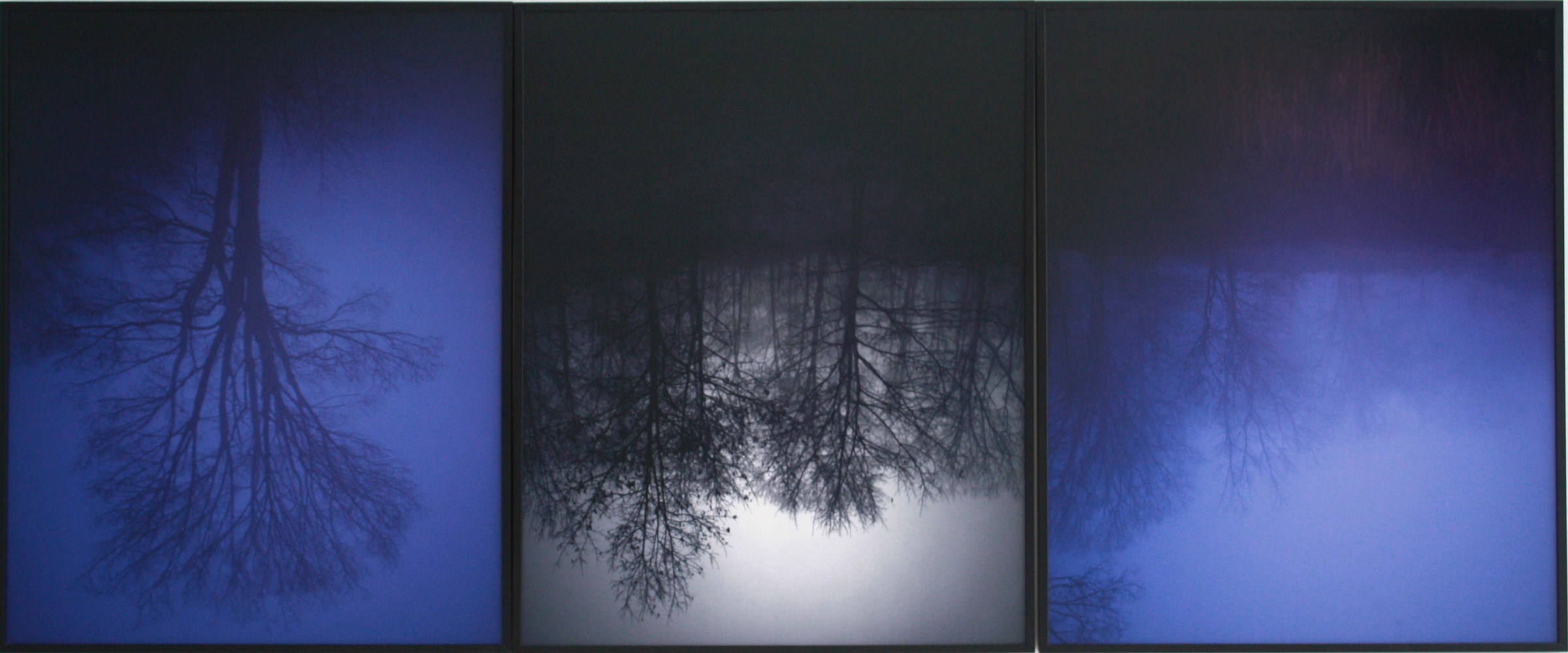 Blue Fog Triptychon, (ed.3), 2012, fotografía color, 75 x 60 cm. c.u.